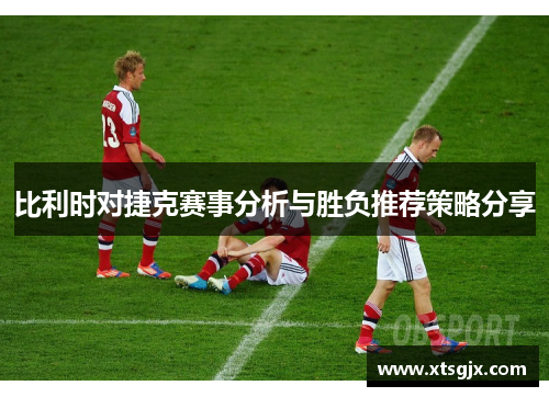 比利时对捷克赛事分析与胜负推荐策略分享